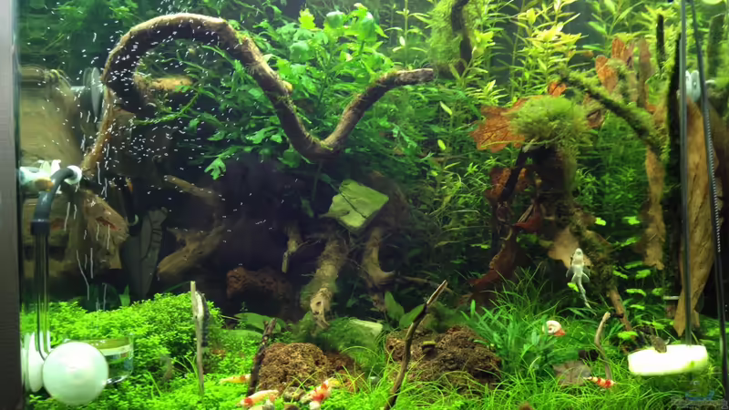 gesmtansicht 10.03.13 von Walde (24)