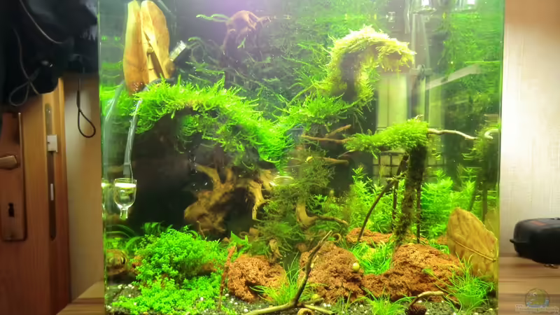 gesmtansicht 14.10 von Walde (16)