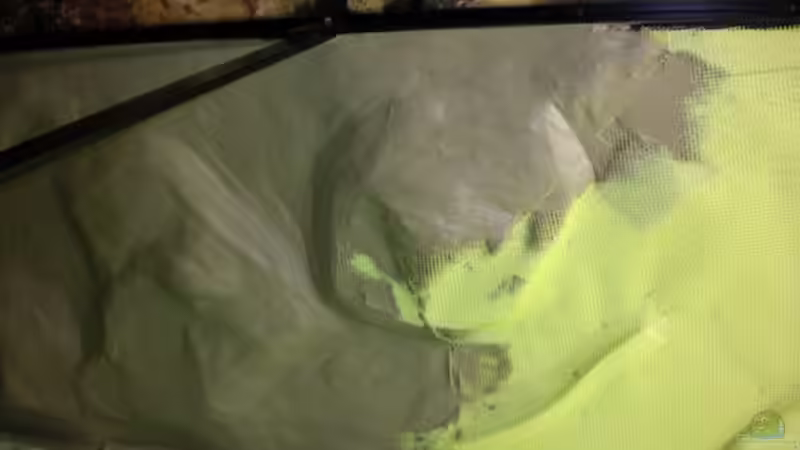 Gestaltung Aufbau von Jürgen Herb (9)