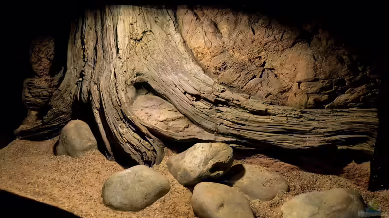 Gestaltung Bodengrund von Jaenu00 (5)