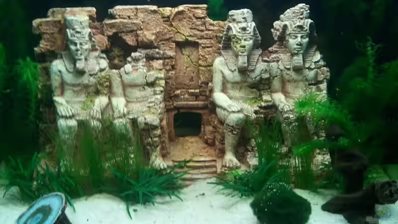 Gestaltung der Vorderdeko von Simon Says (8)