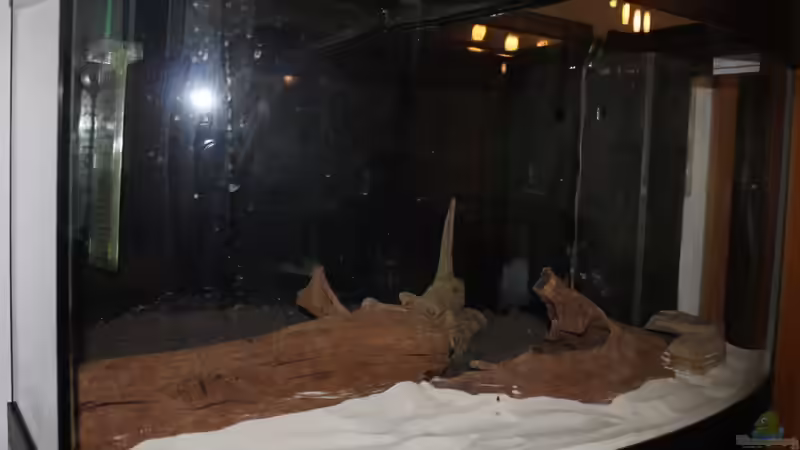 Gestaltung des Beckens von Stefan Hartl (2)