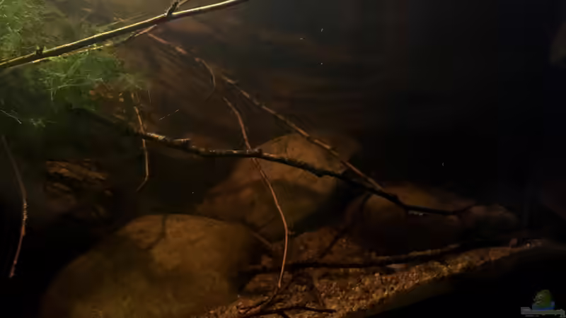 Gestaltung Wasserbereich von Jaenu00 (6)