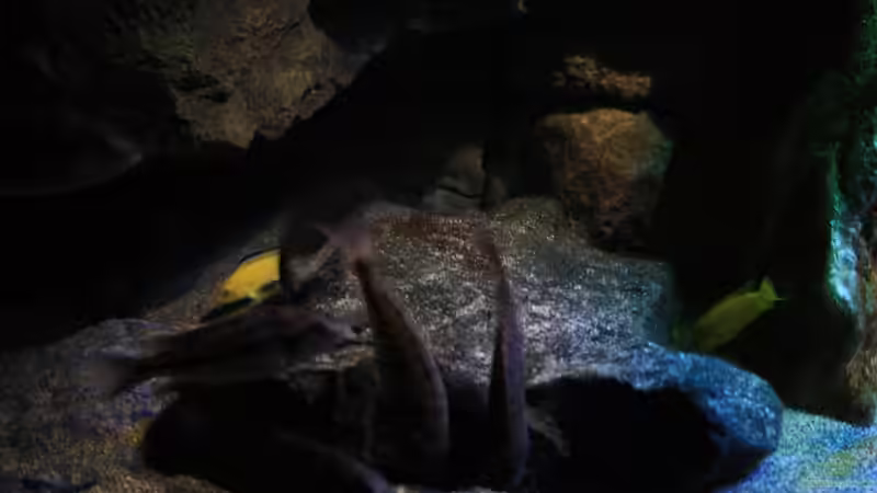 Getümmel von Florian Bandhauer (49)