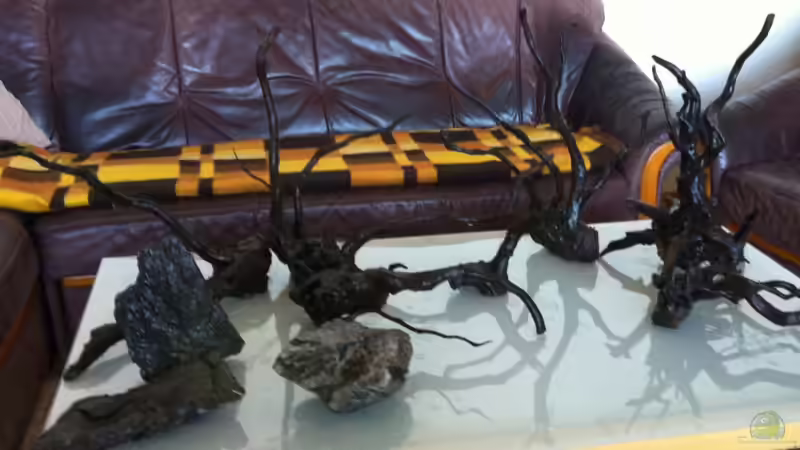 gewässert und bespannt von OrangeBuschfisch (3)