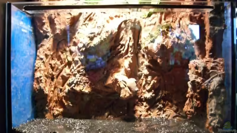 gewässerte Rückwand von Johannes (4)