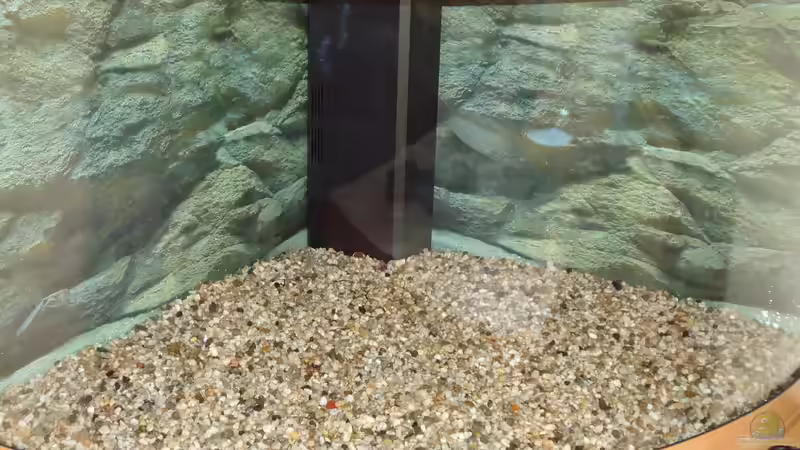 gewaschener Reinkies 5-8 mm von atom010 (13)