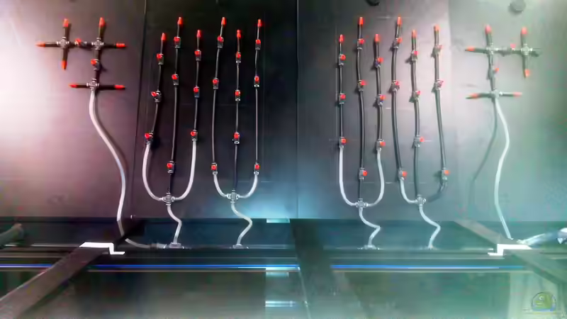 Gewittersimulation im Terrarium - Naturnahe Wetterphänomene realistisch nachbilden