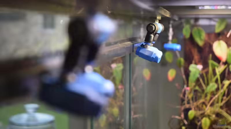 Gewittersimulation im Terrarium - Naturnahe Wetterphänomene realistisch nachbilden