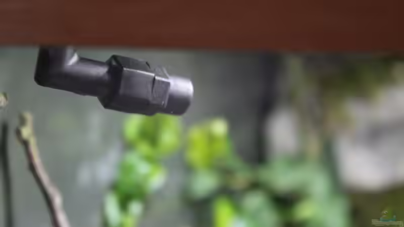 Gewittersimulation im Terrarium - Naturnahe Wetterphänomene realistisch nachbilden