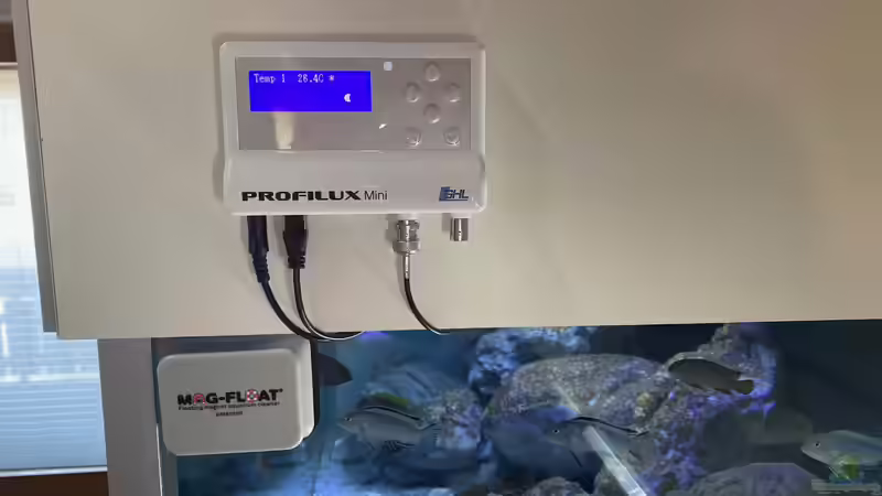 GHL mini von Jean-Paul Ambord (13)