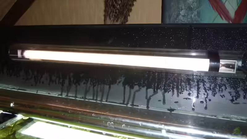 GHL Mitras Simu Stick 55cm von H@rdy &gt;&lt;((((°&gt; (26)