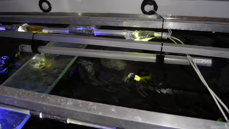 GHL Simu L LED-Stab von bossie1704 (56)