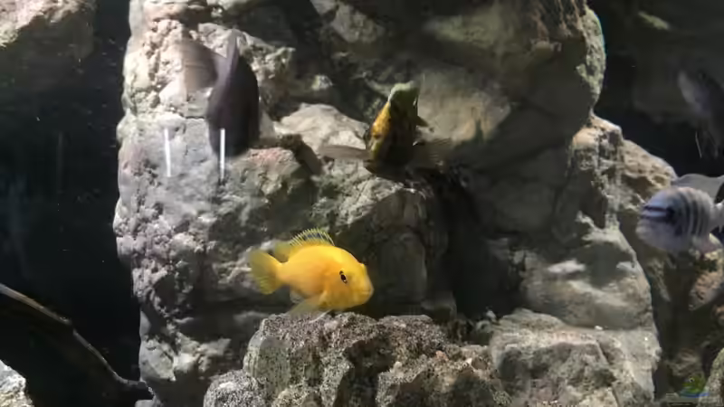 Gibt es jetzt Futter oder was? von Dresdn3r (29)