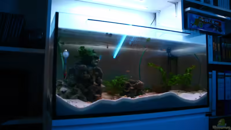 gibt es so nicht mehr von tobsen (6)