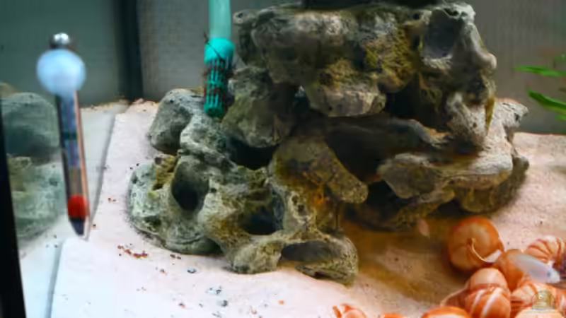 gibt es so nicht mehr von tobsen (7)