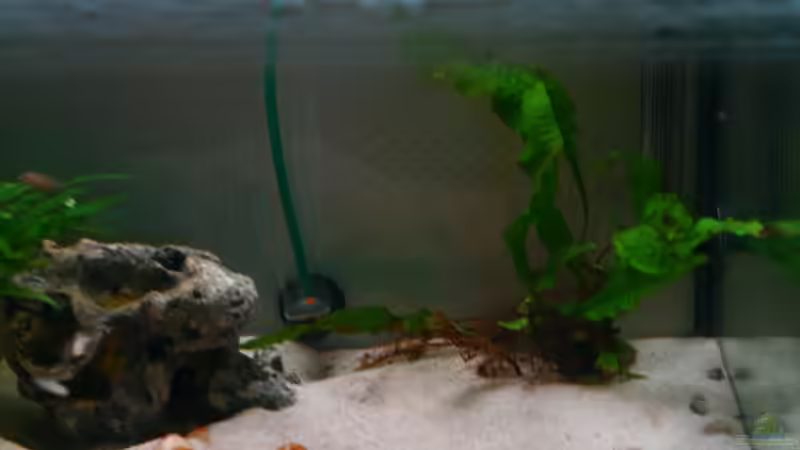 gibt es so nicht mehr von tobsen (8)