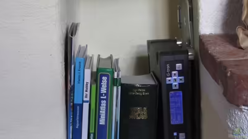 giesemann Computer von Sabrina Plankensteiner (41)