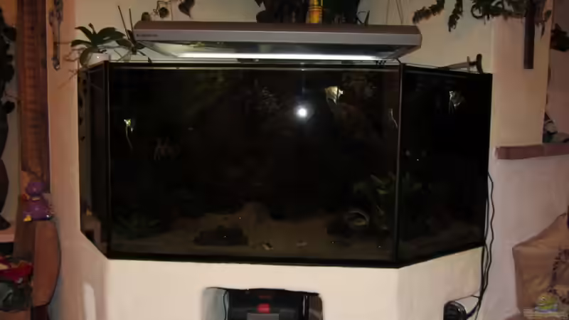 Giesemann Hängeleuchte von Sabrina Plankensteiner (38)