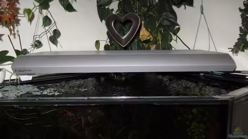 Giesemann Hängeleuchte von Sabrina Plankensteiner (39)