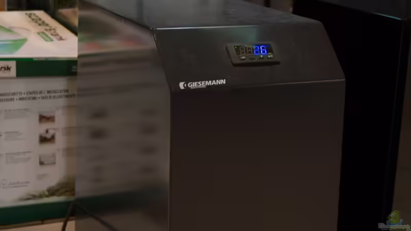 Einrichtungsbeispiele für Aquarien mit Kühlung