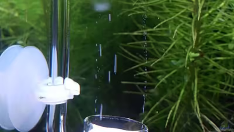 Glas-CO2 Diffusor von YoshiMaus (13)
