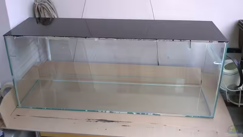 Glasstege für Hmf eingeklebt und Rückwand aussen schwarz lackiert von Heiko Bischof (2)