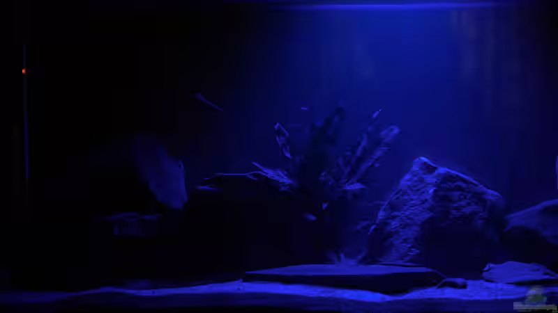 Gleich gehts in Bett von Duder Malawikus (7)