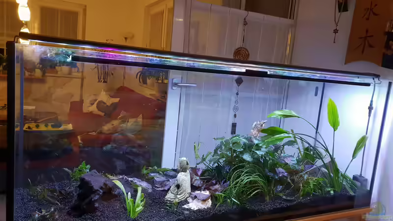 Gleich gehts los von Manuela&Mike (28)