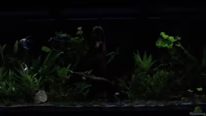 Gleich ist Nachtruhe von coachdriver_uwe (69)