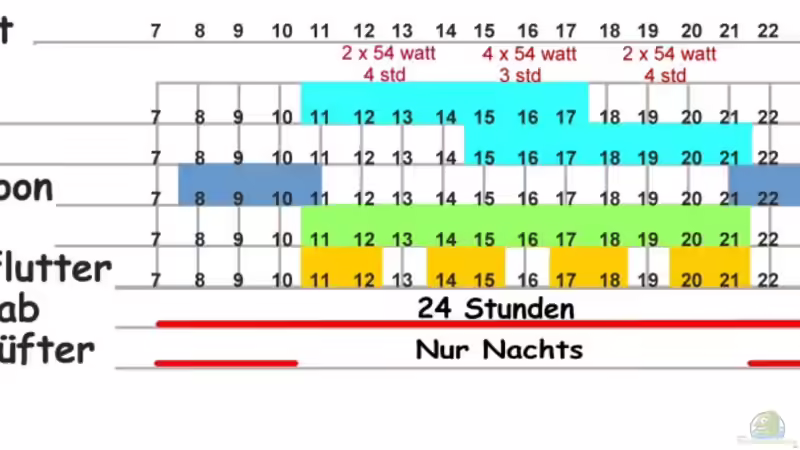 Grafische Darstellung von Hubert Demonty (17)