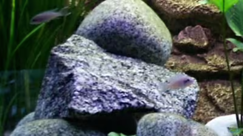 Granit,  Carrarakies im Hintergrund von Paul Hoffmann (6)