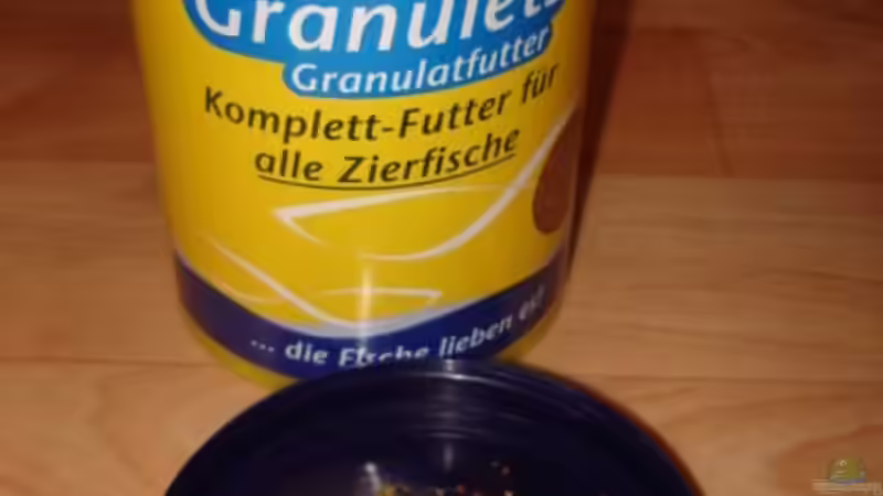 Granulat von Lukas Szewczyk (17)