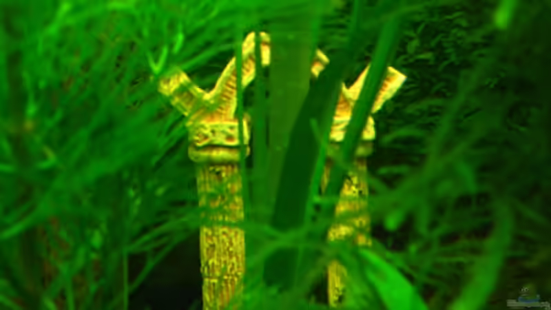 Griechische Säule von Niko Toumanidis (16)