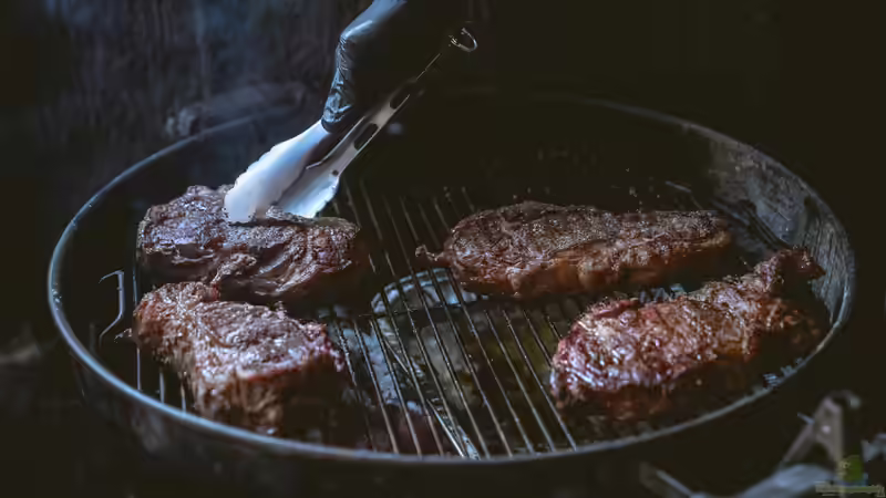 Grillen im Garten - Das ist der rechtliche Rahmen