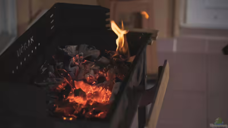 Grillen im Garten - Das ist der rechtliche Rahmen