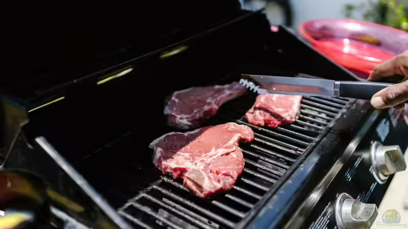 Grillen im Garten - Das ist der rechtliche Rahmen