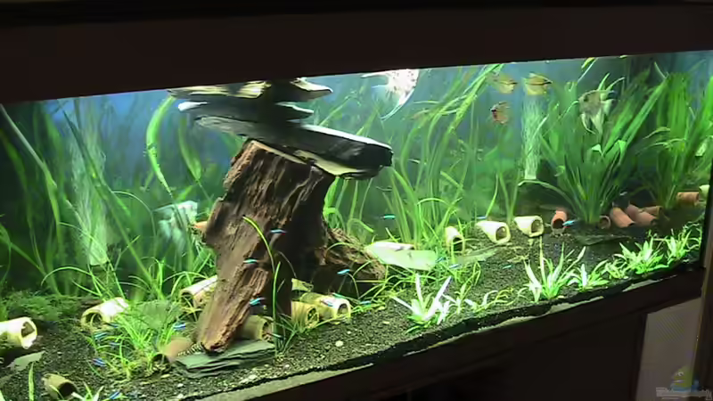 Gro??e Freiheit von ManiacT (1)