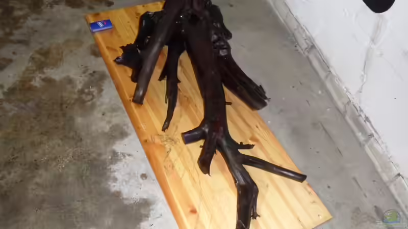 Größenvergleich zum Tempo-Paket - nach Einkürzung des hinteren Ausläufers, der von Bungi (41)