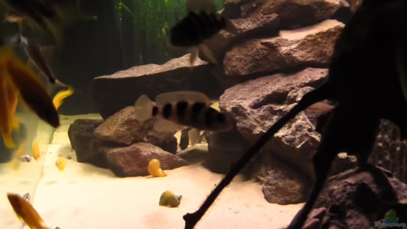 Größerer Steinaufbau! von Haens84 (20)