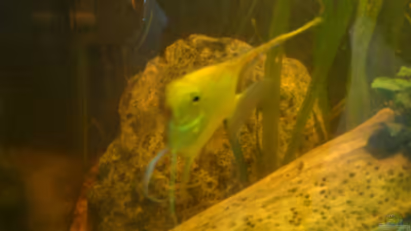 größte der 3 Steine ca 12kg von B1gT4nk (10)