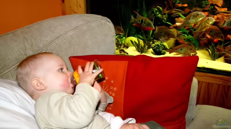 größter Aquarienfan der Familie (nach mir und der Katze) von Minzi (22)