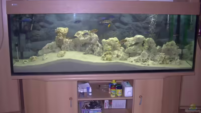 Grossansicht von Martin Neumann (2)