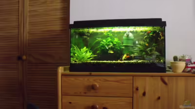 Großansicht von MasterOfDesaster (2)