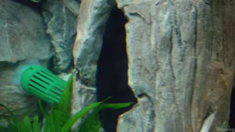 Grosse Höhle 02 von Rene Wiedemann (6)