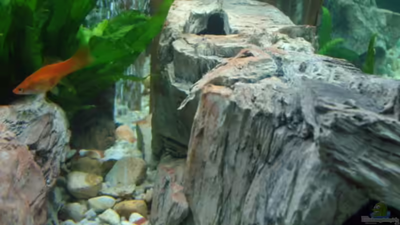 Grosse Höhle 03 von Rene Wiedemann (7)