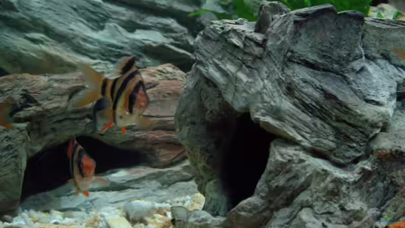 Grosse Höhle 04 von Rene Wiedemann (8)