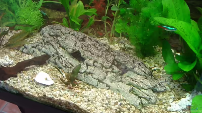 Große Höhle von aquaman29 (5)