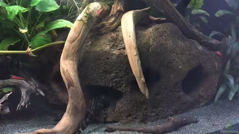 große Lavasteinhöhle mit L387 von Danny (33)