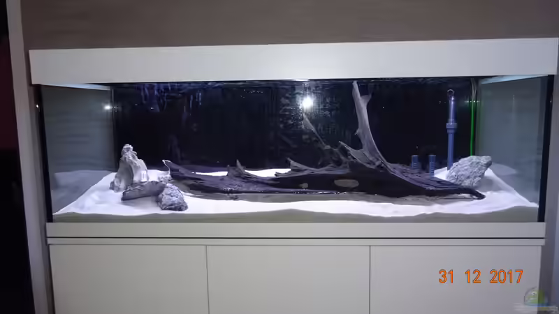 Große Mangroven-Wurzel von Aqua-Josh (15)